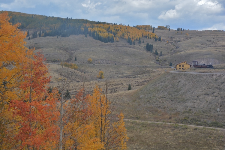 coming into Osier 